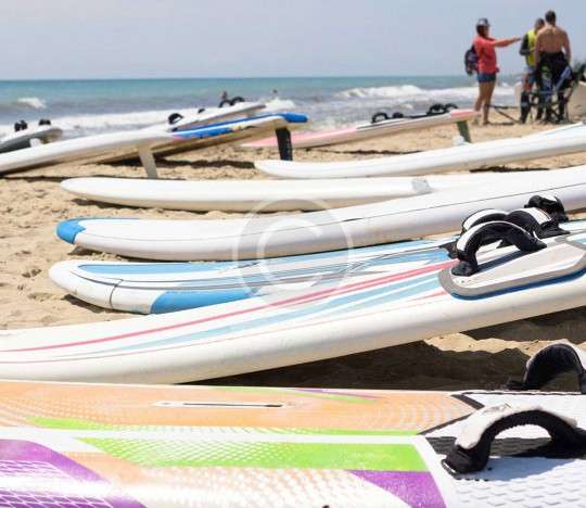 Kayak & Equipment Rentals
