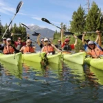 Bending Branches Whisper Paddle - Image 8